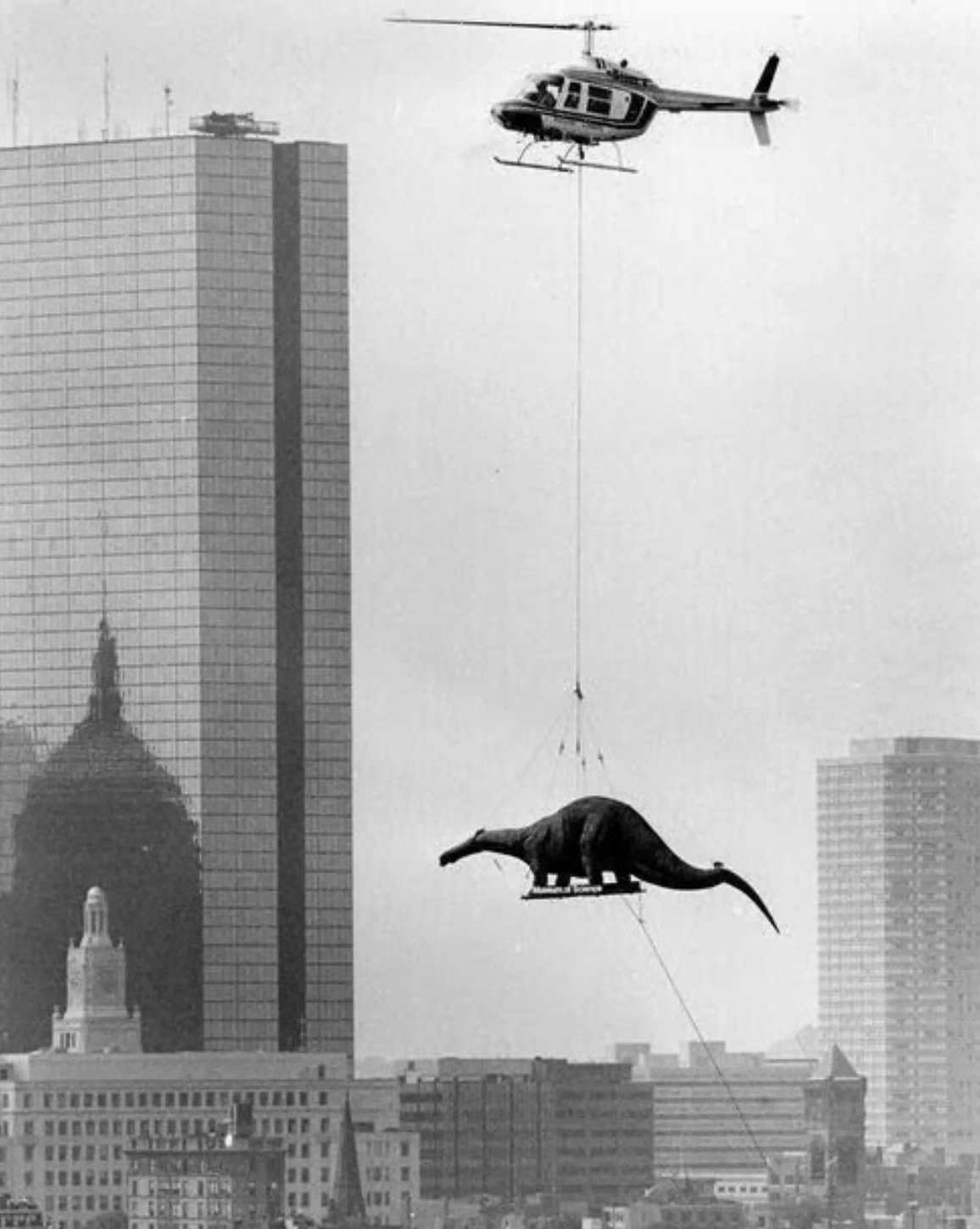 “A dinosaur being delivered to the Boston Museum of Science, 1984.”